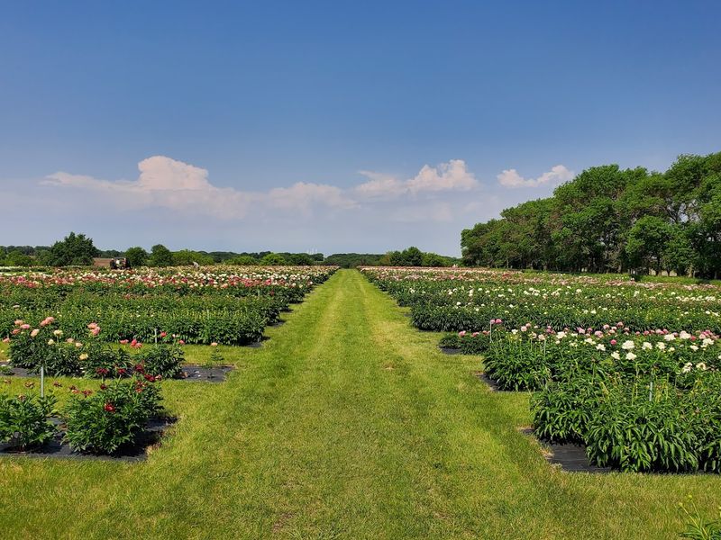 Where to Start Your Walk