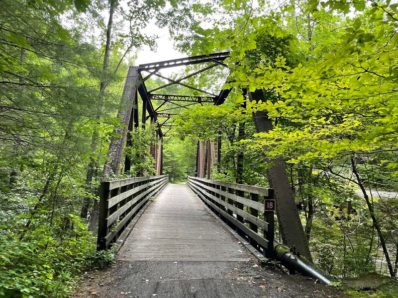 Trestles And Bridges That Steal The Show