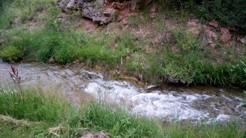 A Town Built On Healing Waters