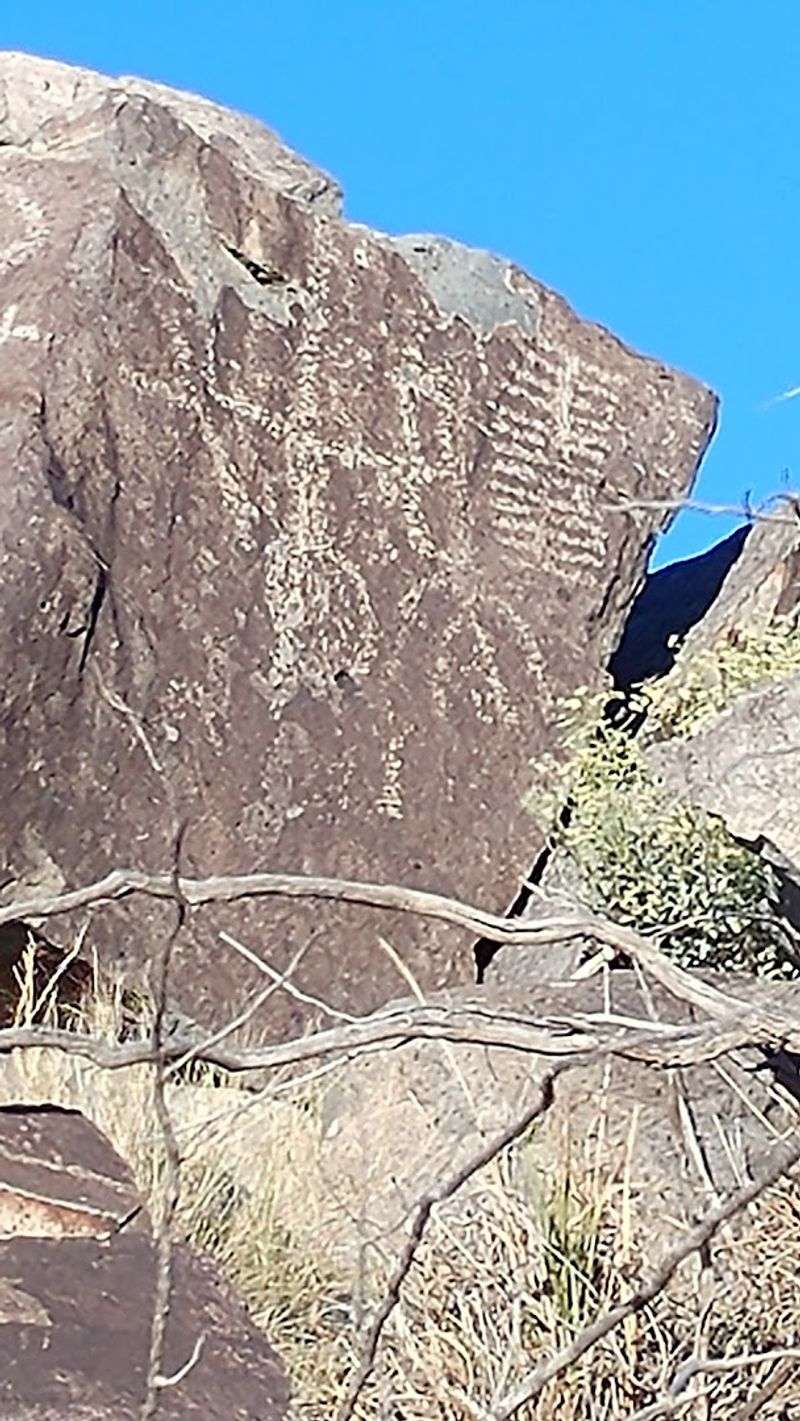 Hidden Details Along The Path
