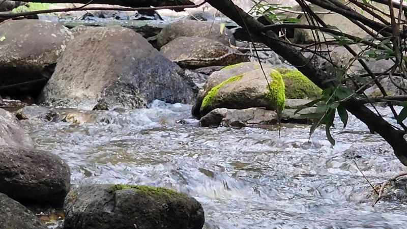 Cool Evenings By The Creek