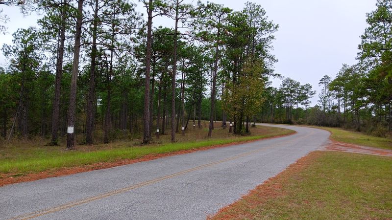 Historic Military Road