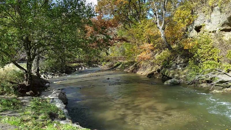 Fall Colors and Winter Silence