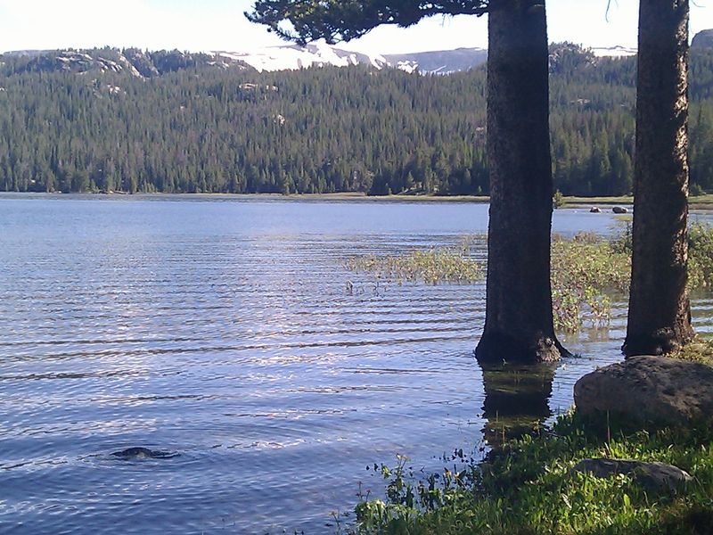 Picnic Spots Worth Stopping For