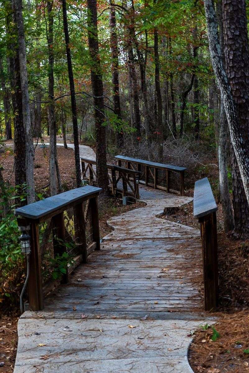 Hippie Point Trail