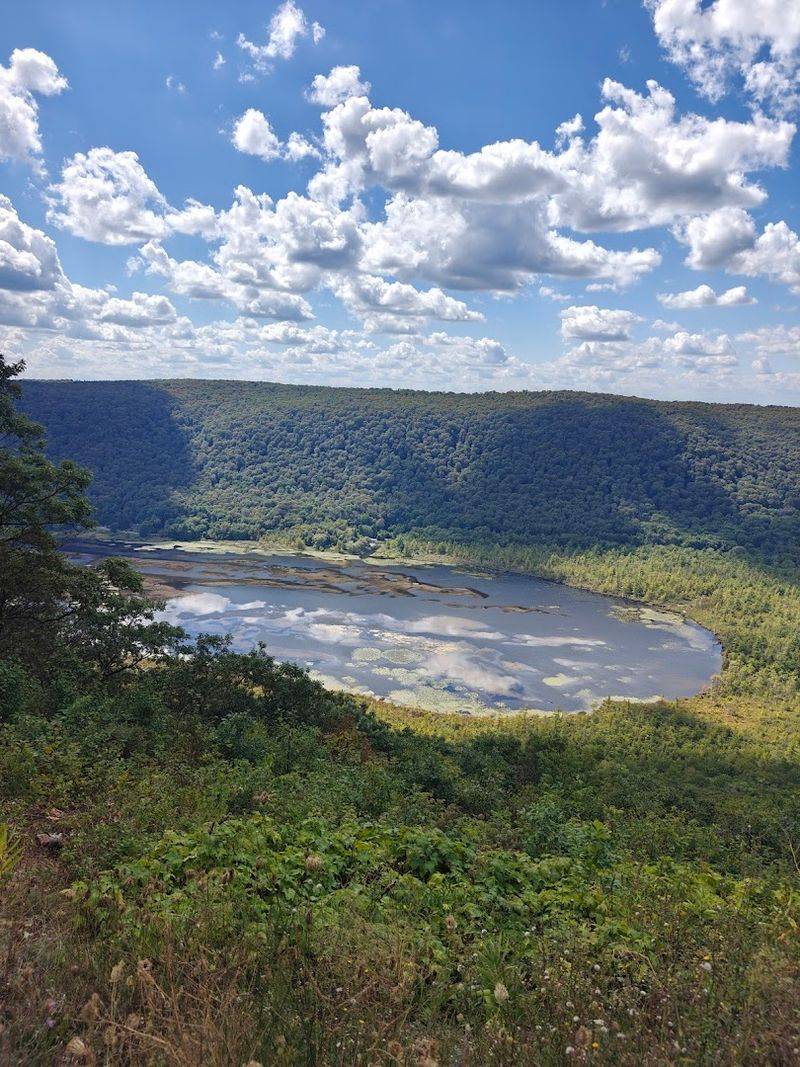 Labrador Hollow Surroundings