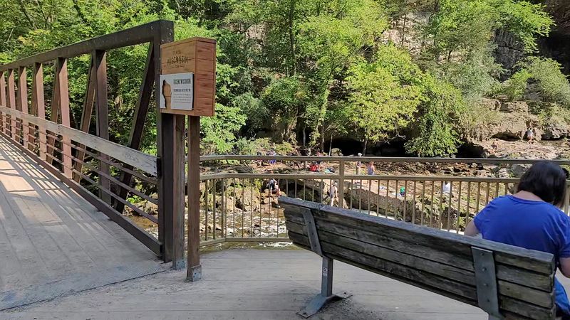 The Bridge And Overlook