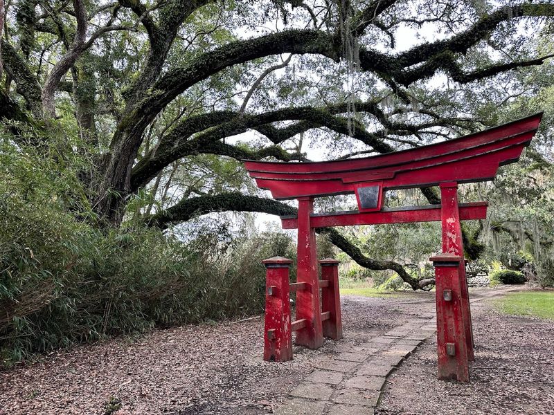Avery Island Jungle Gardens