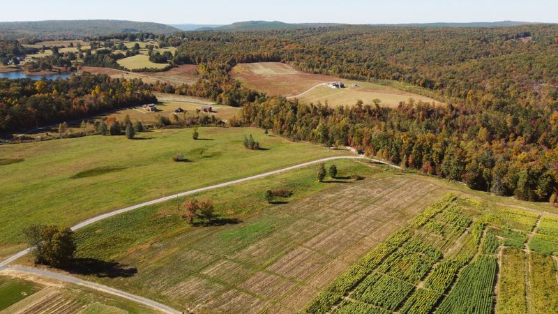 Laurel Valley Plantation