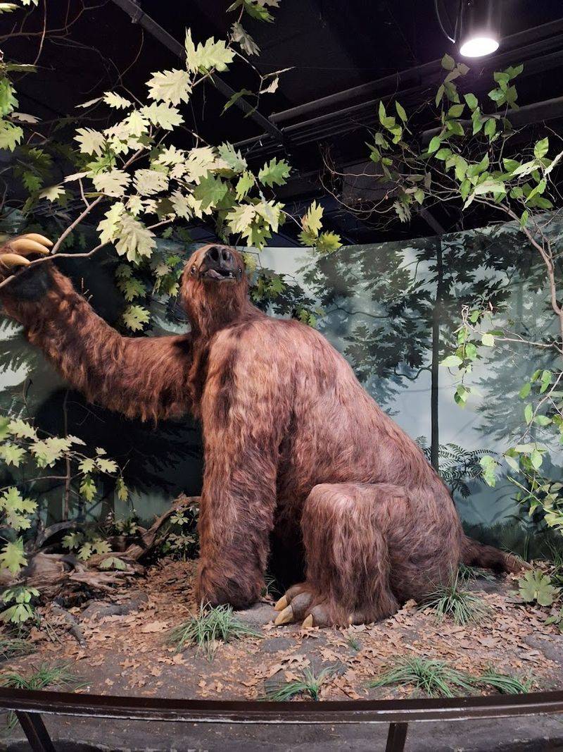 The Giant Sloth That Steals The Show