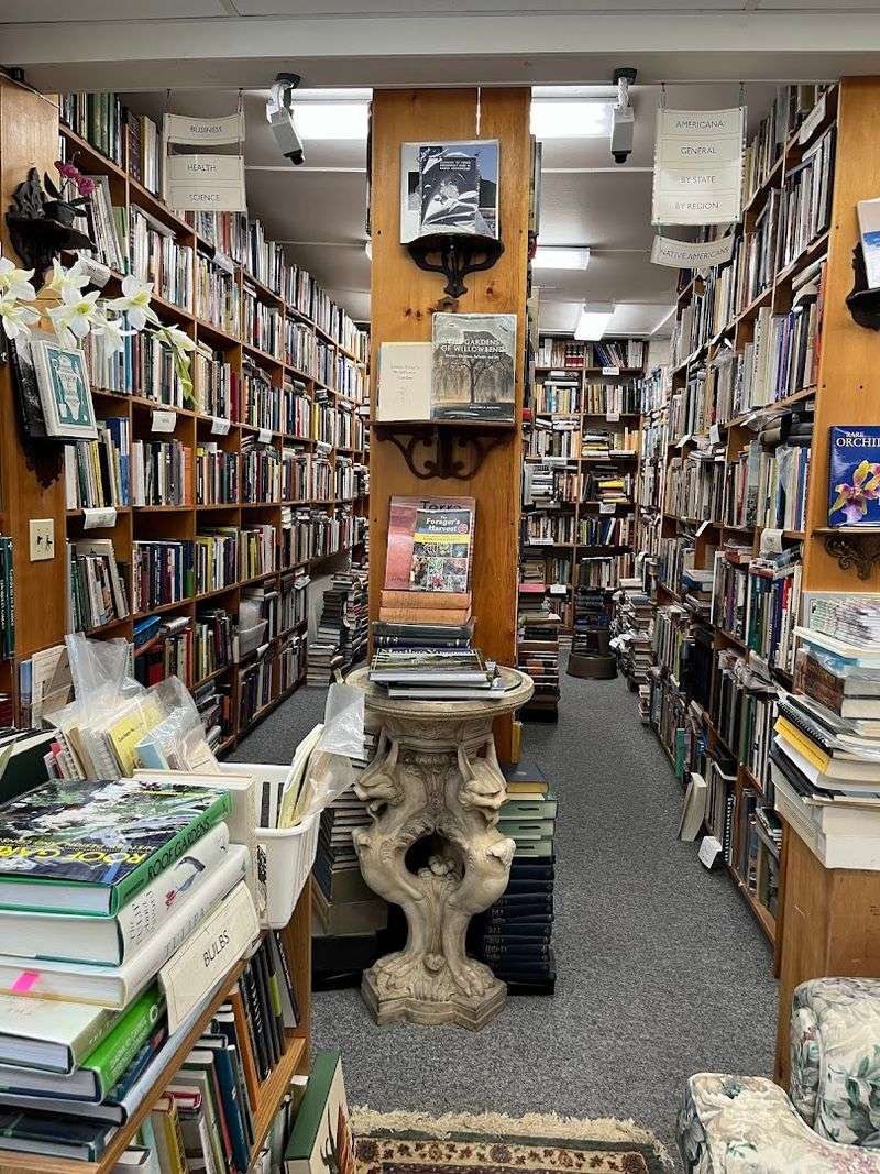 Books From Floor To Ceiling