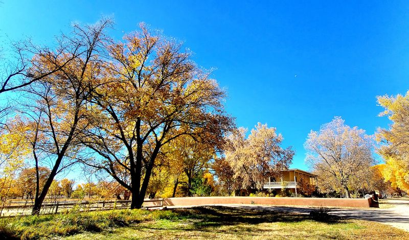 Territorial Architecture Beneath Wide Desert Skies