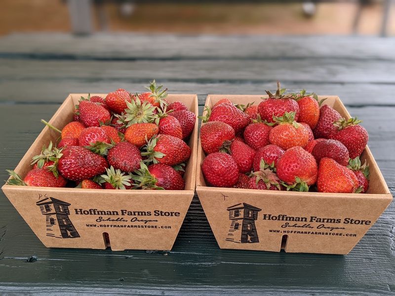 Why This Farm Is Worth The Drive