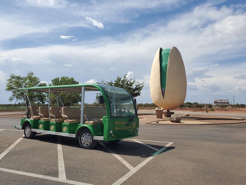 The Giant Nut Stop