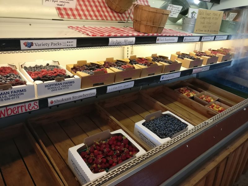Berry Varieties That Cover The Whole Summer