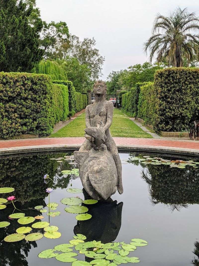 Finding The Garden Before The City Starts Showing Off