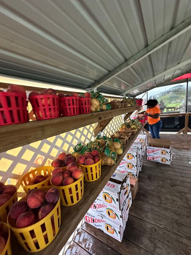 Fresh Handpicked Peaches Worth Pulling Off The Highway For
