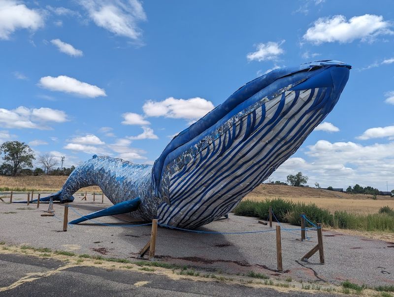Outdoor Art That Stops You In Your Tracks