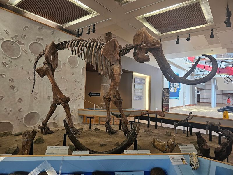 160 Years Of Curiosity On Display