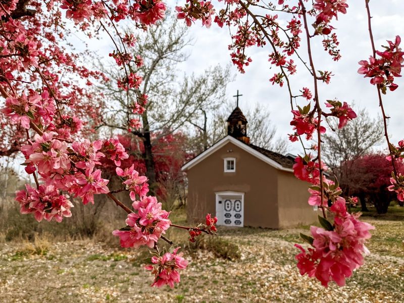 Orchard Views And Old New Mexico Charm