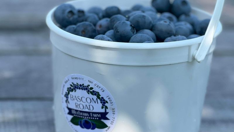 Big Berries, Bright Flavor, No Contest