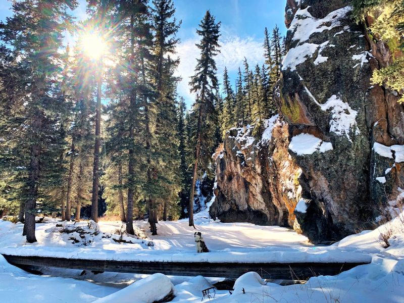 Wooden Bridges Over Clear Mountain Water