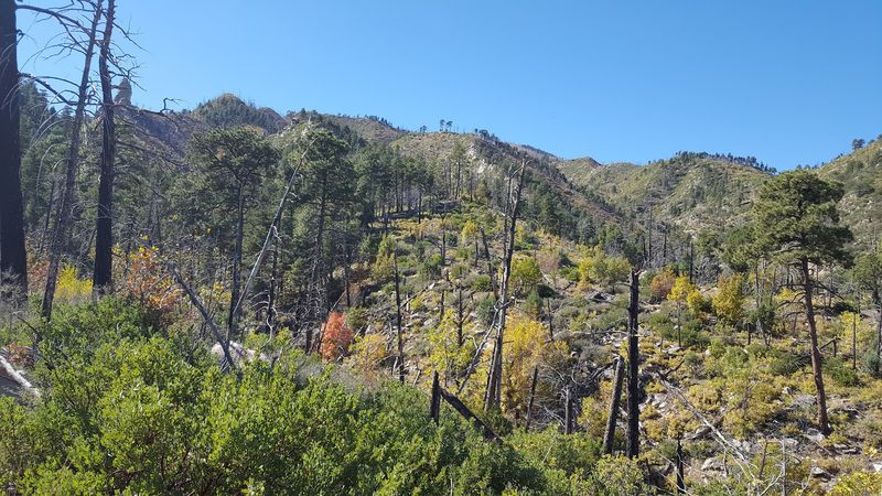 Mountain Air Above The High Desert