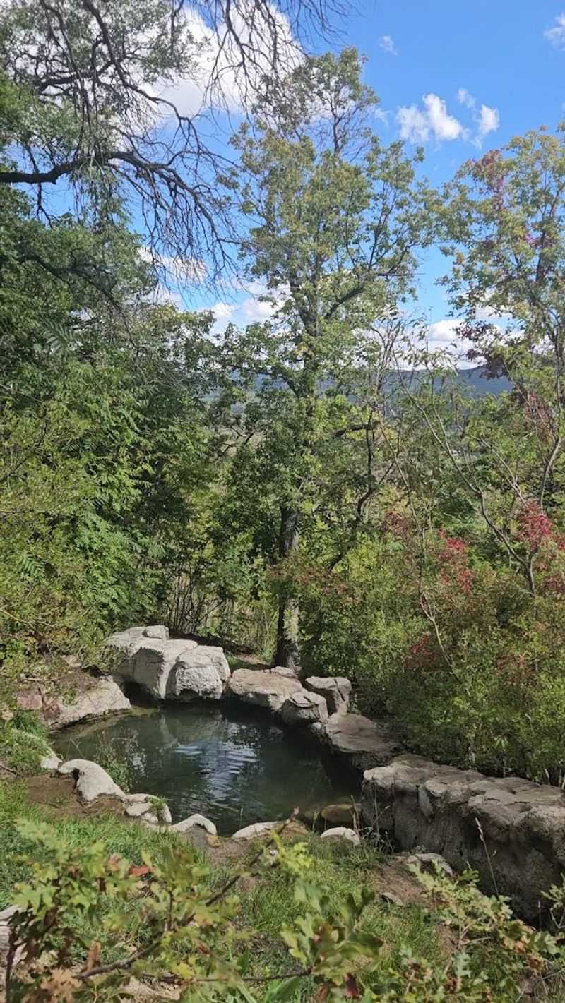 Spring Water In The Foothills
