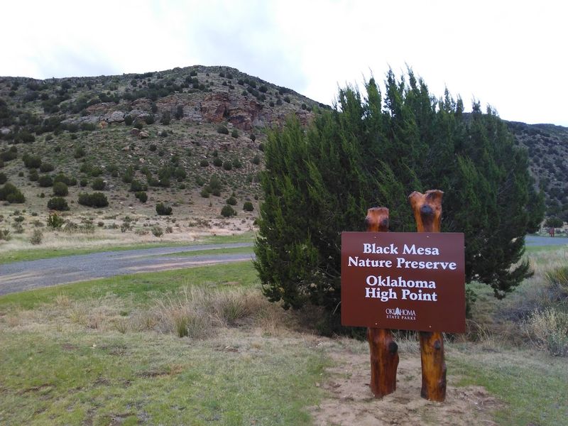 Where The Trail Begins