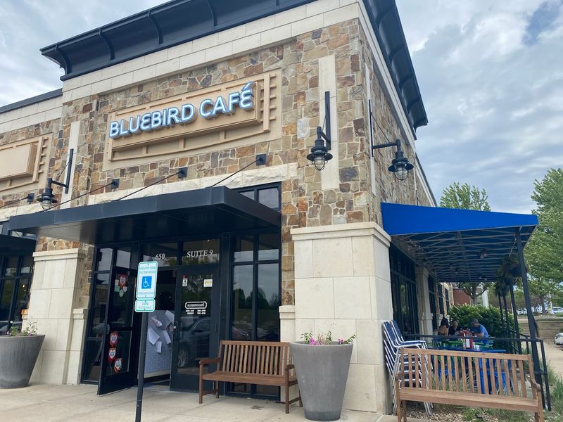The Story Behind the Bluebird