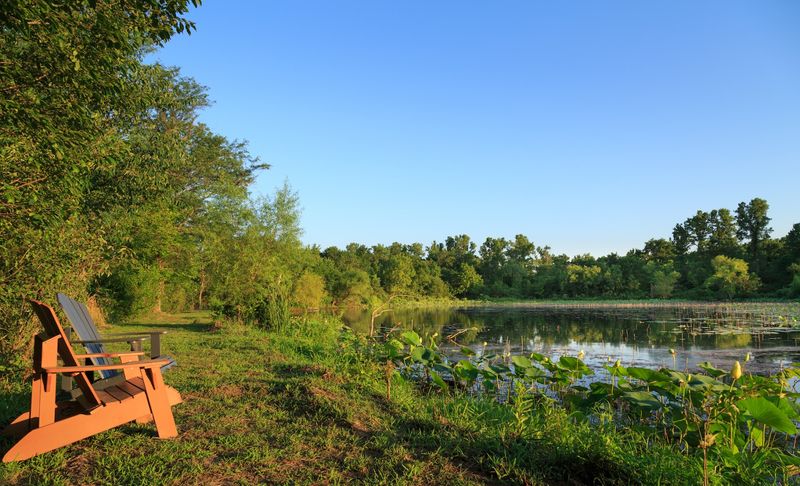 Nature Trails, Ponds, And A Pecan Grove Worth Exploring