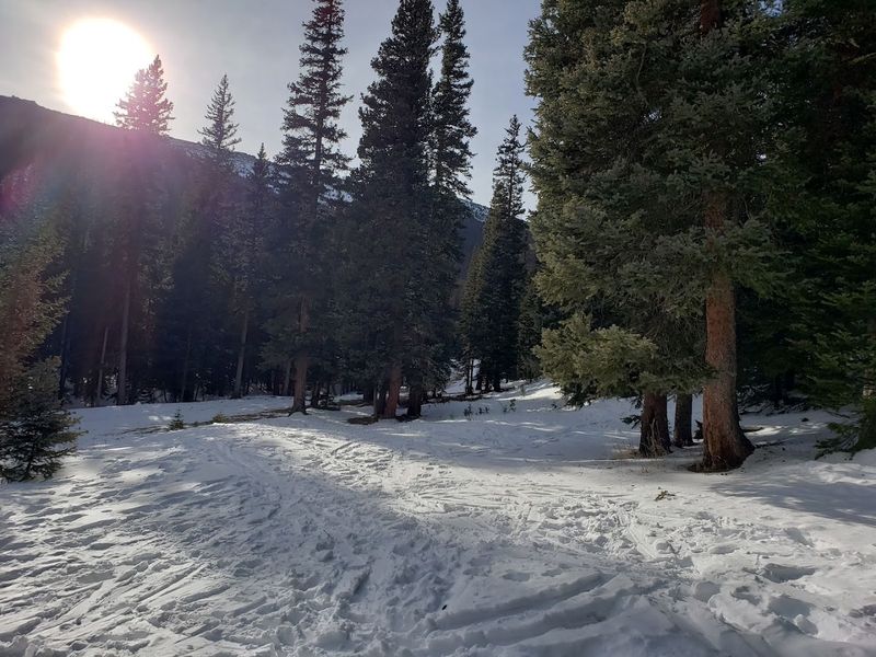 The Sledding Hill Everyone Loves