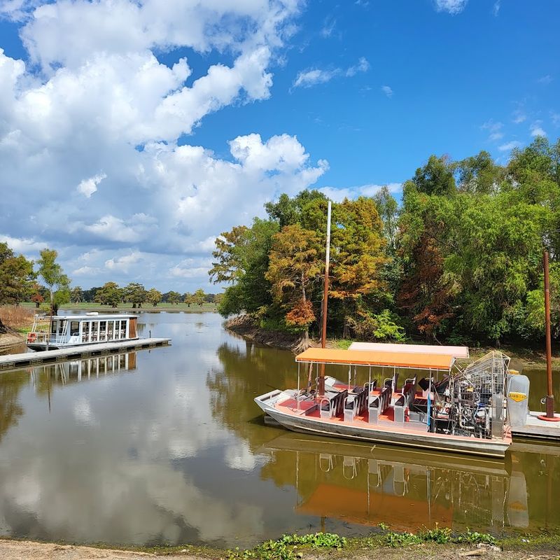 Atchafalaya Basin Landing & Swamp Tours