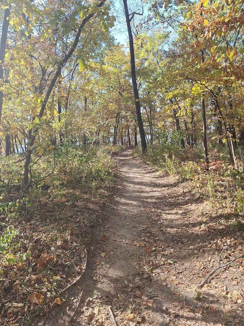 Trails and Terrain Around the Tower