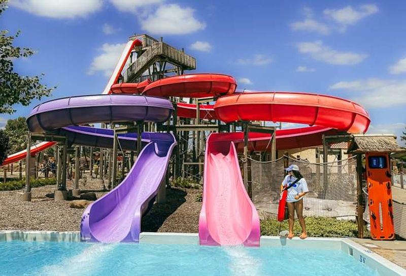 The Slide Lineup That Keeps Everyone Moving