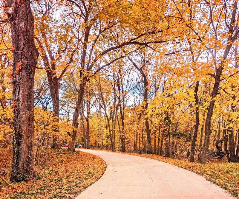 Pammel Park, Winterset