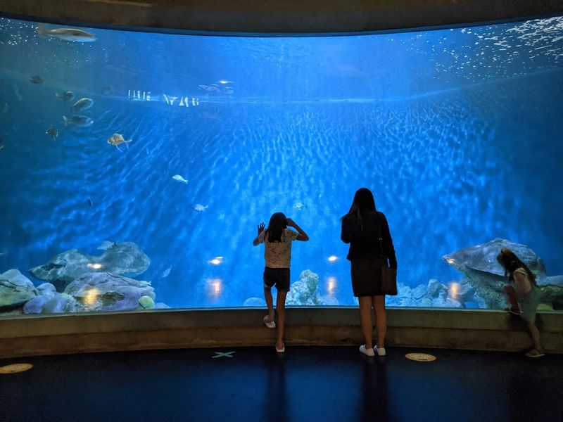 National Mississippi River Museum and Aquarium, Dubuque