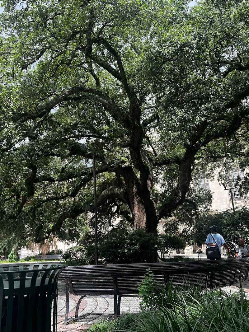 Wear Comfortable Shoes For The Quarter’s Uneven Paths