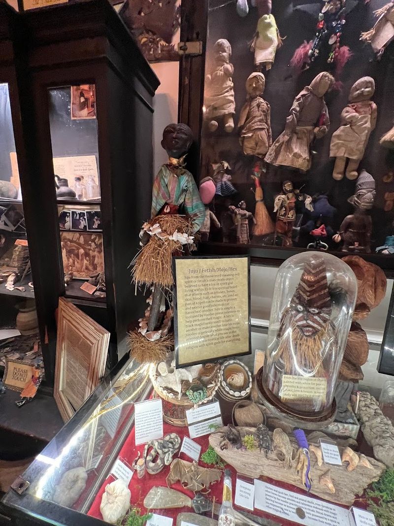 History: Roots And The Founding Story