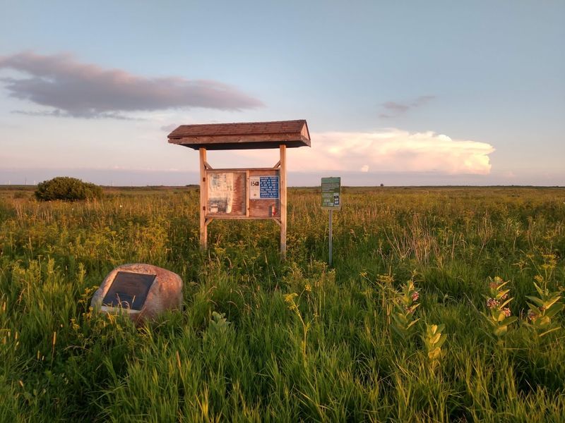 Hayden Prairie State Preserve, Howard County