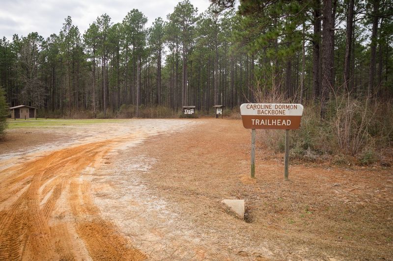 Caroline Dormon Trail