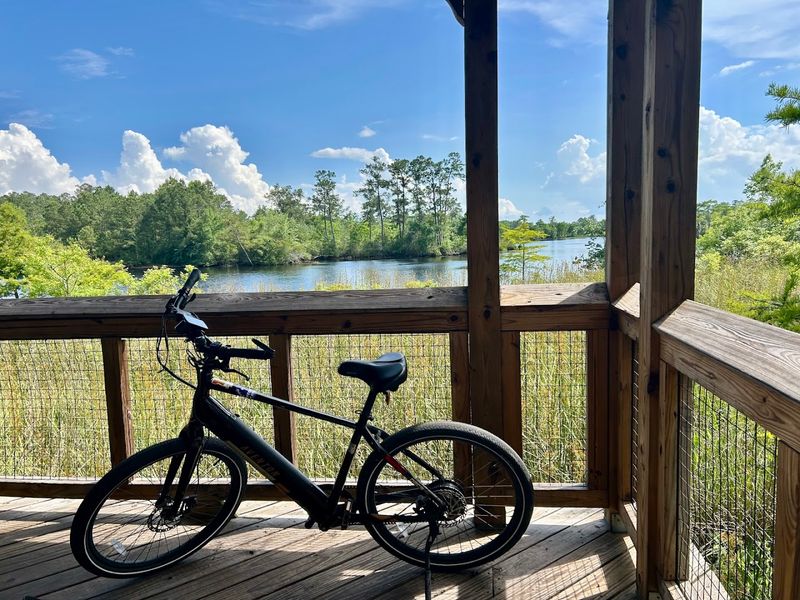 Tammany Trace