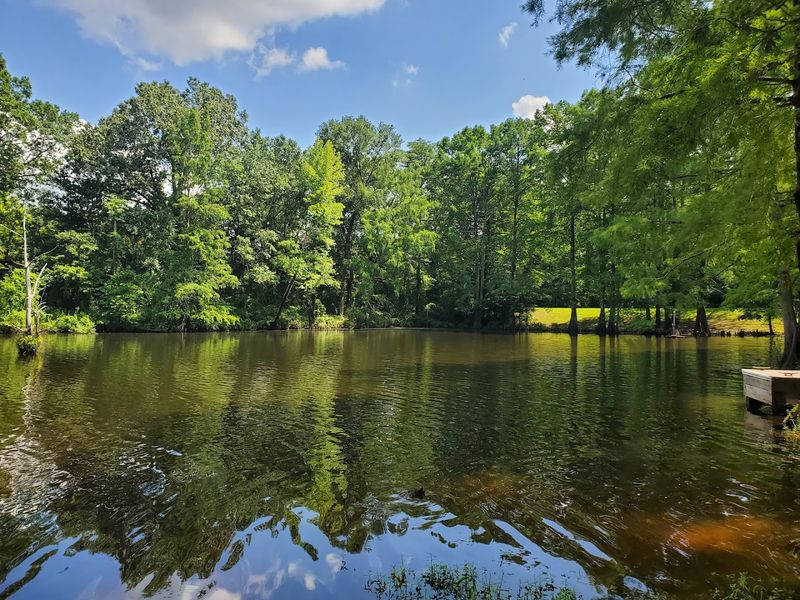 High Road Into Bayou Country