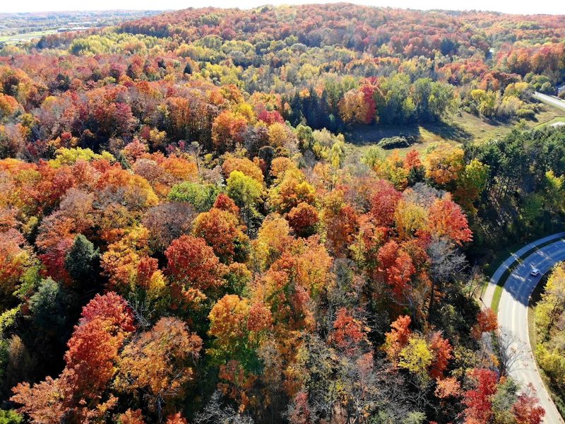 Leelanau Peninsula Hidden Roads