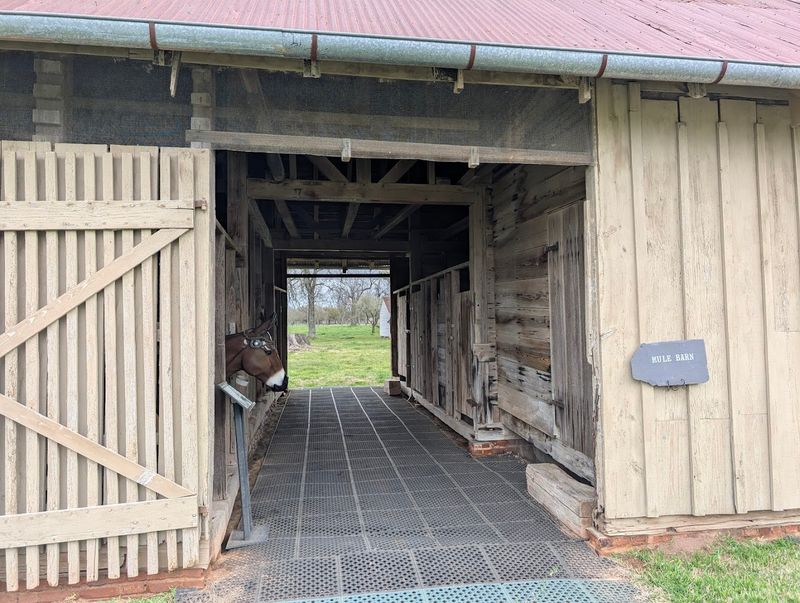 Old Roads Into Cane River History
