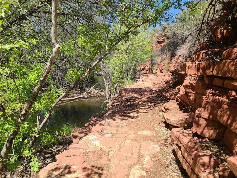 Red Rock Crossing Magic