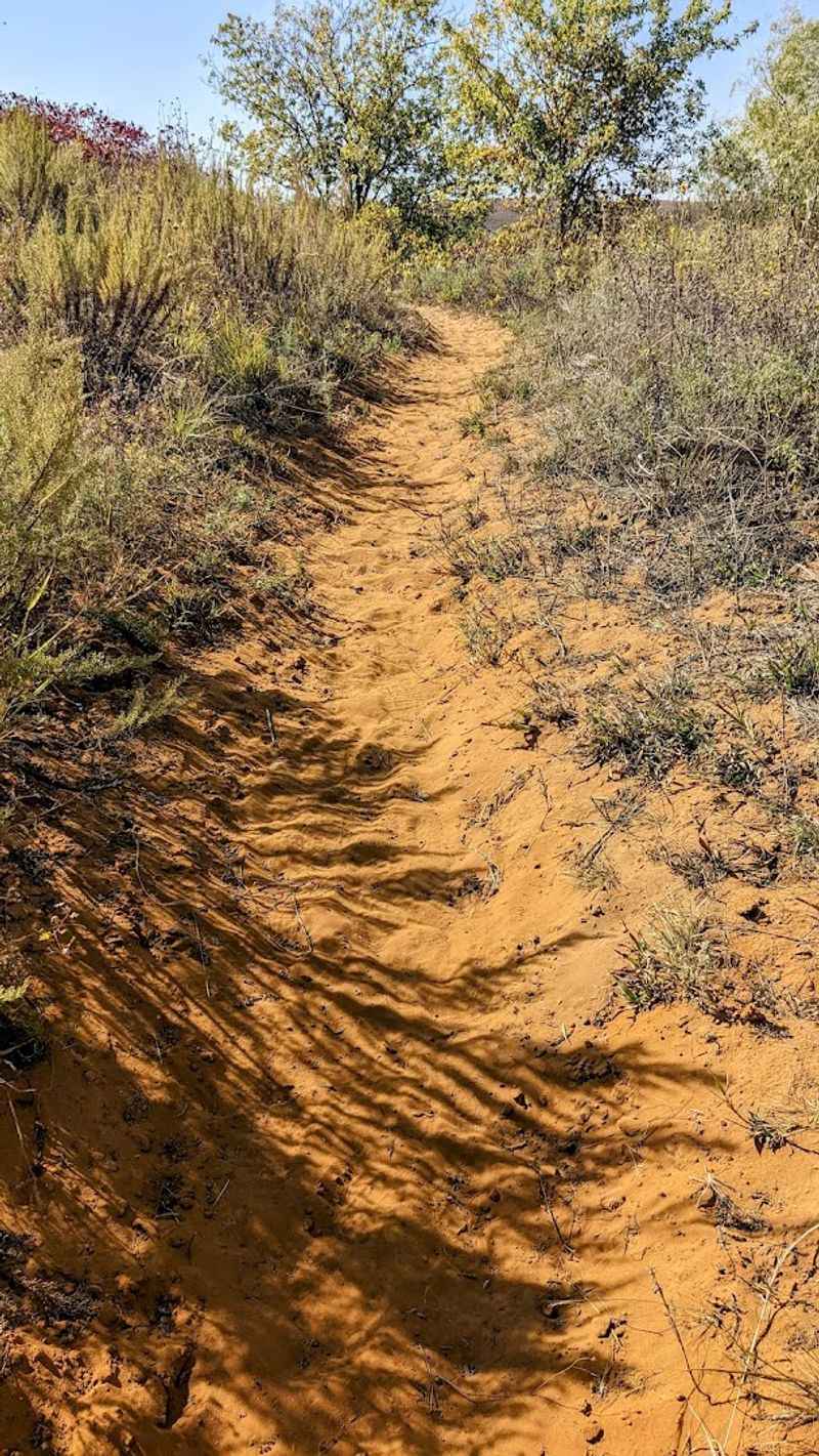 Tick And Bug Awareness On The Trail