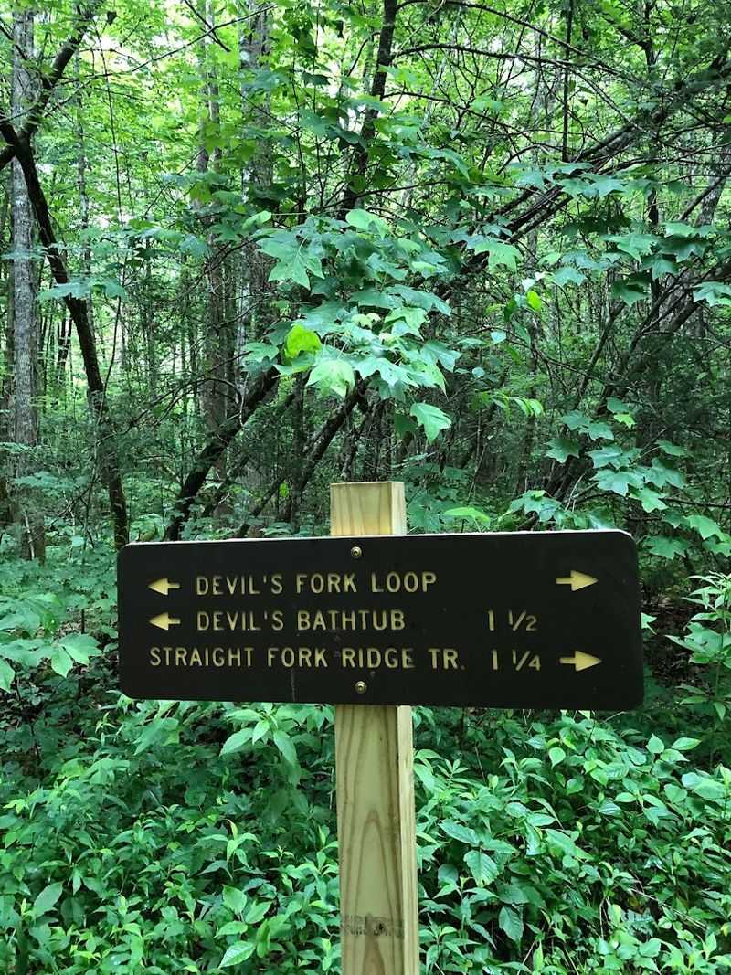 Leave No Trace And Respecting The Trail