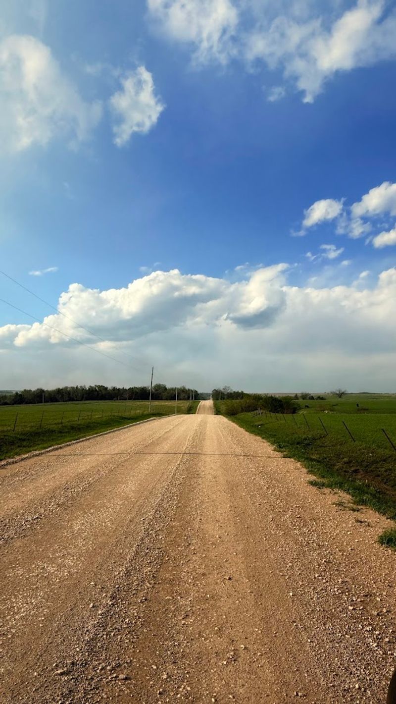 Practical Tips For The Drive: What To Know Before You Go