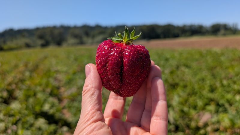 Why This Washington Valley Farm Keeps Pulling People Back